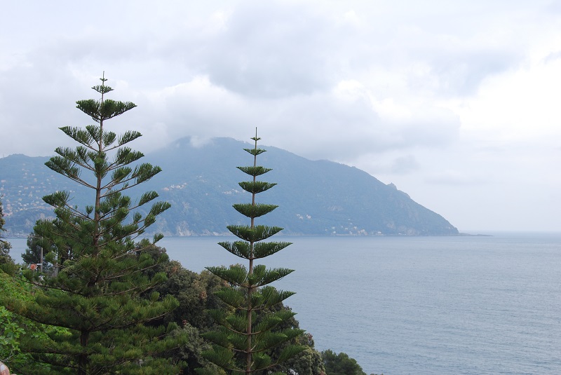 Recco, veduta del promontorio di Portofino